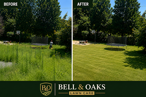 Before and after lawn cleanup by Bell and Oaks